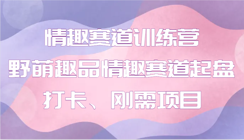 情趣赛道训练营 野萌趣品情趣赛道起盘打卡、刚需项目-空域资源网