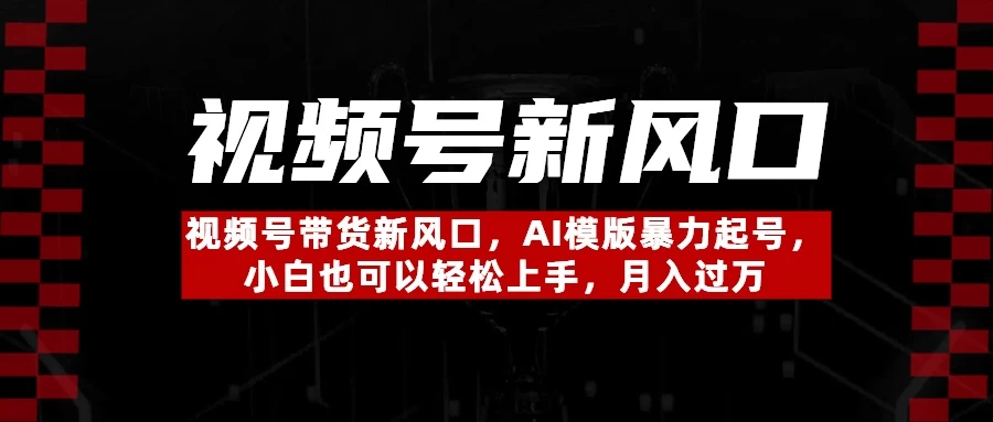 视频号带货新风口，AI模版暴力起号，小白也可以轻松上手，月入过万-空域资源网