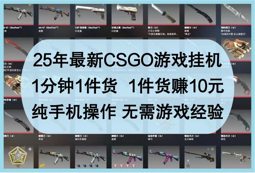 25年最新CSGO游戏挂机，1分钟1件货，1件货赚10元，纯手机操作，无需游戏经验-空域资源网