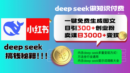 Deepseek 一键免费生成小红书图文日引300+创业粉，日变现3000+ 方法全行业通用-空域资源网