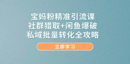 宝妈粉精准引流课，社群猎取+闲鱼爆破，私域批量转化全攻略-空域资源网