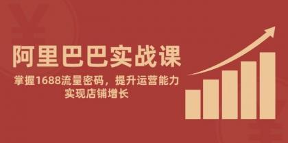 阿里巴巴实战课：掌握1688流量密码，提升运营能力，实现店铺增长-空域资源网