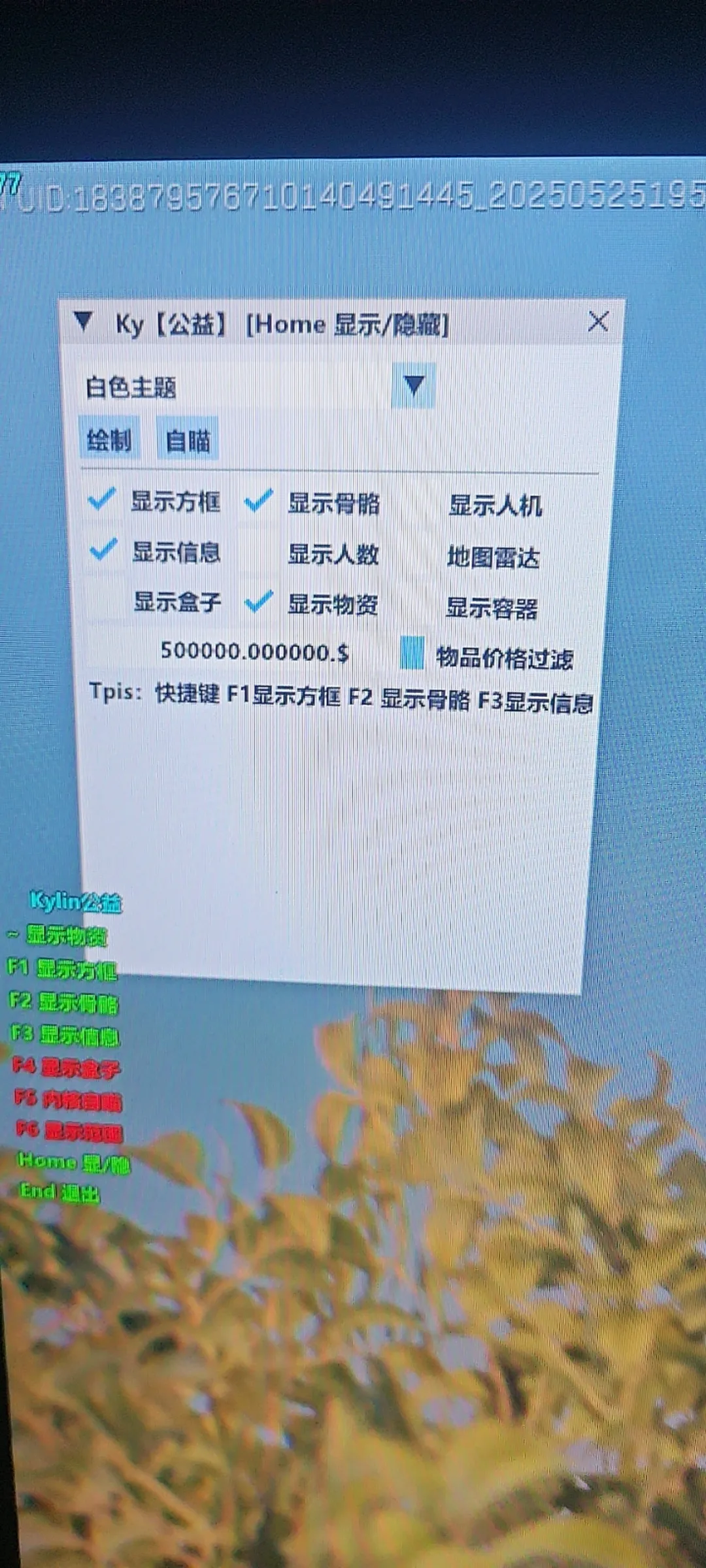 PC三角洲·Kylin绘制自瞄辅助正式版 v5.0-空域资源网