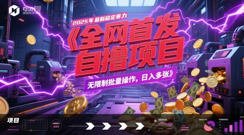 全网首发，2025年最新稳定暴力全自动自撸项目，无限制批量操作，日入多张【揭秘】-空域资源网