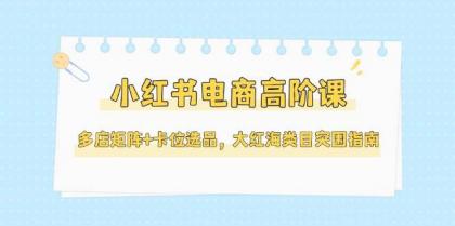 小红书电商高阶课，多店矩阵+卡位选品，大红海类目突围指南（更新5月）-空域资源网