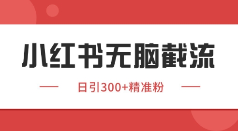 小红书截流同行客源，独家野路子获客玩法 日引200+暴力获客【揭秘】-空域资源网