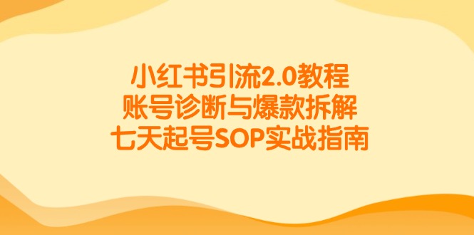 小红书引流2.0教程，账号诊断与爆款拆解，七天起号SOP实战指南-空域资源网