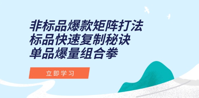 非标品爆款矩阵打法，标品快速复制秘诀，单品爆量组合拳