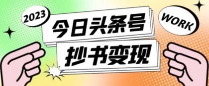 抄书冷门项目,操作简单,单号一天100+,有人一个月变现1w+!(软件+教程+玩法)-空域资源网