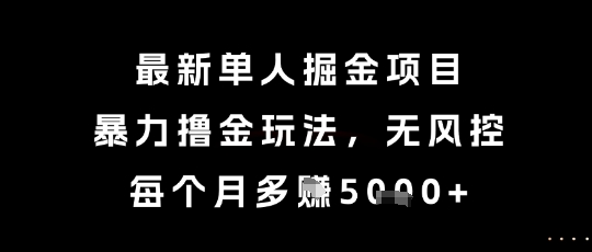 最新单人掘金项目，暴力撸金玩法，无风控，每个月多挣5k+【揭秘】-空域资源网
