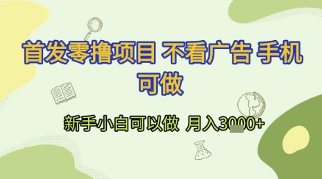 首发零撸项目 不看广告 手机可做 新手小白可以做  月入3k+【揭秘】-空域资源网