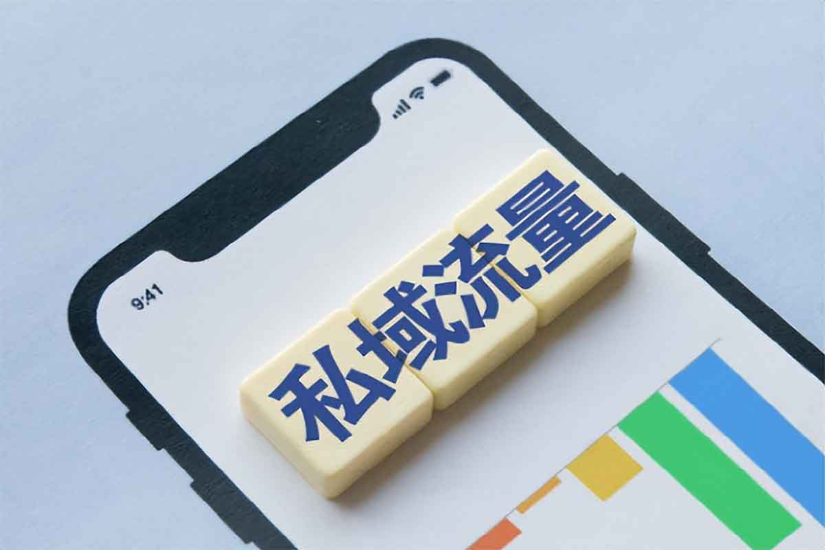 私域从 0 到 1 搭建客户成交体系课程：低成本高复购的实战秘籍-空域资源网