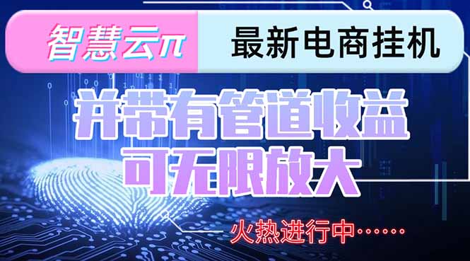 智慧云π电脑挂机单机每天收益300—500+ 并带有团队管道收益 可无限放大-空域资源网