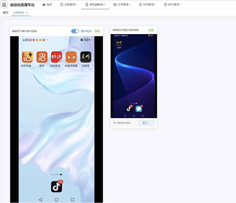 云手机群控系统源码 云手机多开群控 自动化管理程序源码-空域资源网