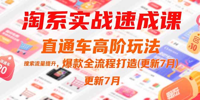 淘系实战速成课，直通车高阶玩法，搜索流量提升，爆款全流程打造(更新7月