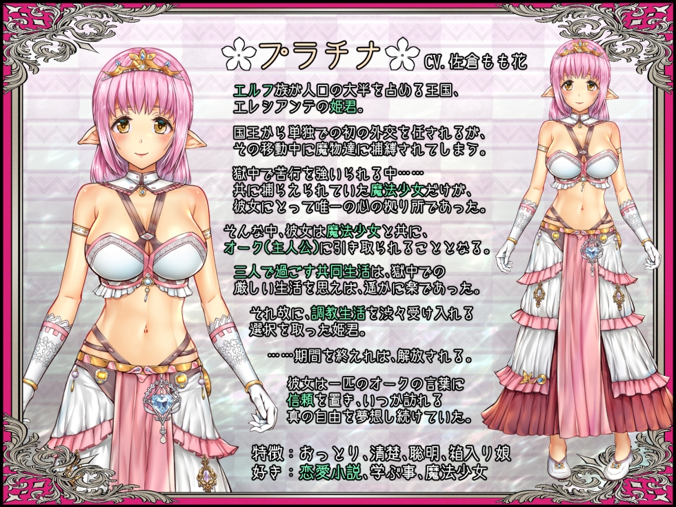 少女異種間獄 ～魔法少女&エルフ姫、オークと過ごす異世界性活～ [オトギ堂]