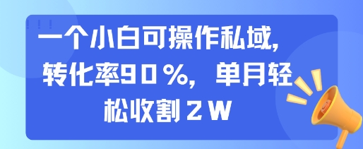 一个小白可操作私域，转化率90%，单月轻松收割2W-空域资源网
