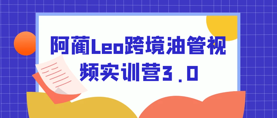 阿蔺Leo跨境油管视频实训营3.0-空域资源网