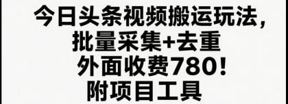 今日头条视频搬运玩法，软件一键去重，轻松日入500+附项目工具-空域资源网