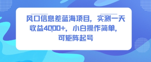 风口信息差蓝海项目，实测一天收益4k+，小白操作简单，可矩阵起号-空域资源网
