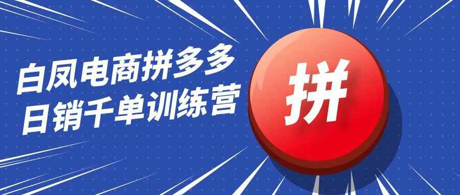 白凤电商拼多多日销千单训练营-空域资源网