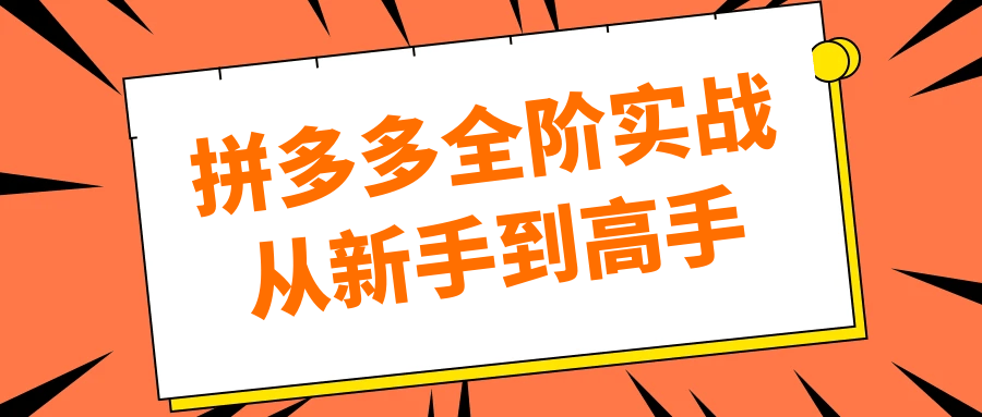 拼多多全阶实战从新手到高手-空域资源网