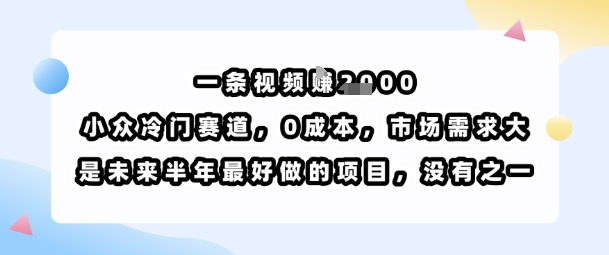 一条视频挣1k，小众冷门赛道，0成本，市场需求大，是未来半年最好做的项目，没有之一-空域资源网