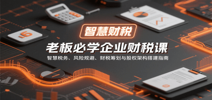 老板必学企业财税课：智慧税务、风险规避、财税筹划与股权架构搭建指南-空域资源网