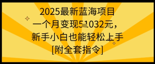 2025最新蓝海项目一个月变现1w+新手小白也能轻松上手【附全套指令】-空域资源网