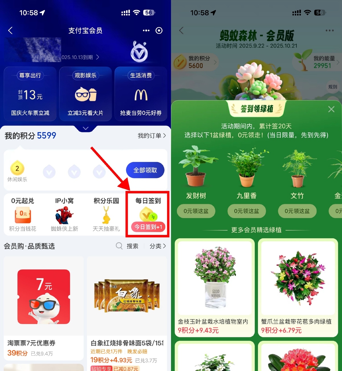 支付宝蚂蚁森林签20天领绿植-空域资源网