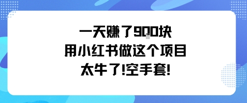 一天挣了9张用小红书做这个项目太牛了，空手套-空域资源网
