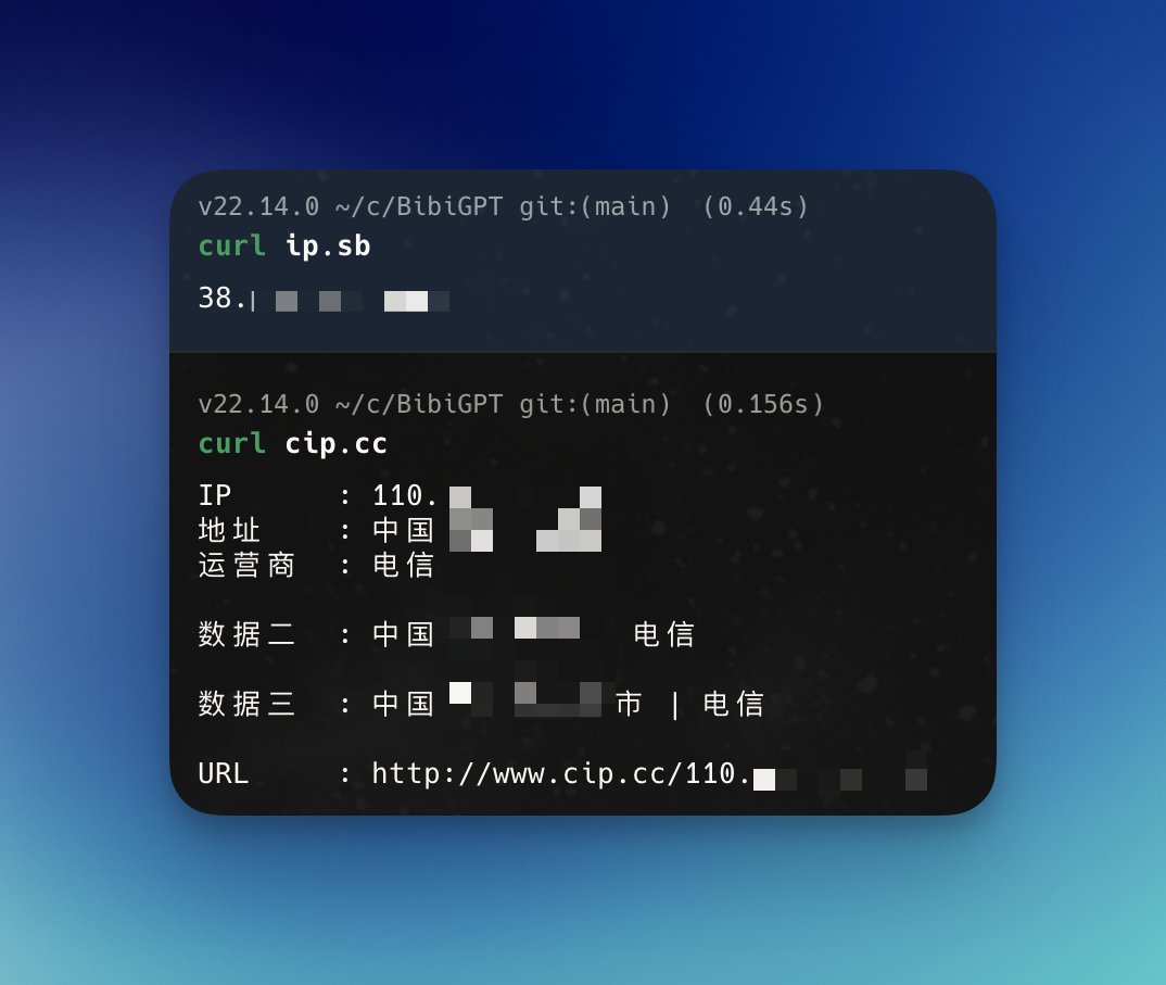 分别查看自家网络和梯子的 IP-空域资源网