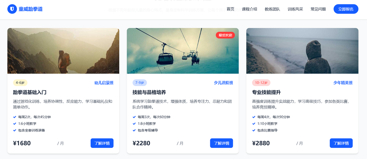 100套好看的网站模版-空域资源网