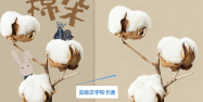 豆包AI 1.74.5.0 (生图无水印下载)
