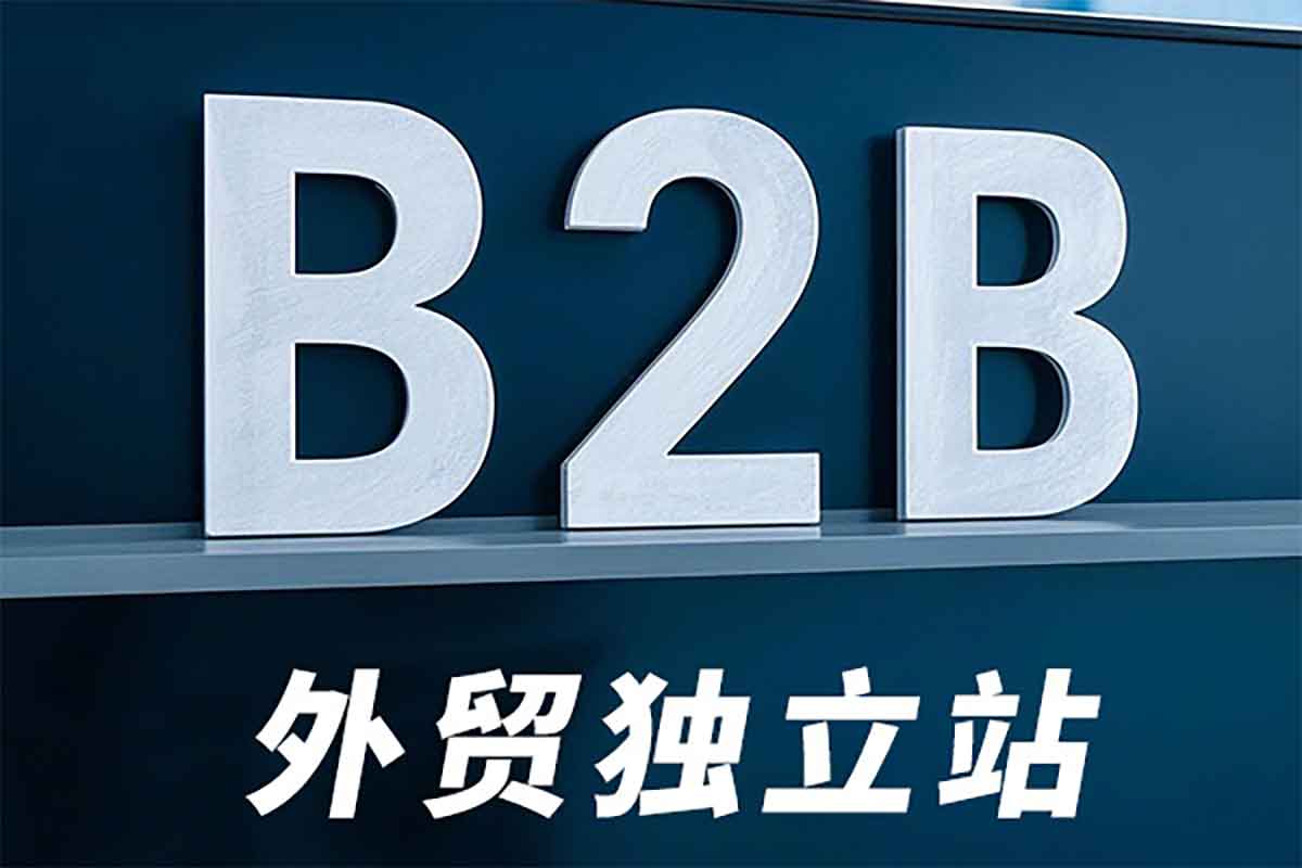 打造属于你的外贸独立站：B2B 建站 + 谷歌 SEO 实战课-空域资源网