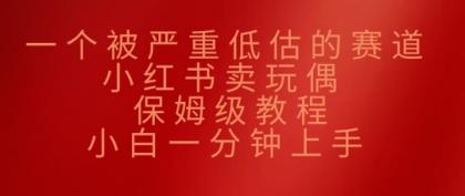 一个被严重低估的赛道，小红书的卖公仔，家庭保姆级实例教程，小白一min入门-空域资源网