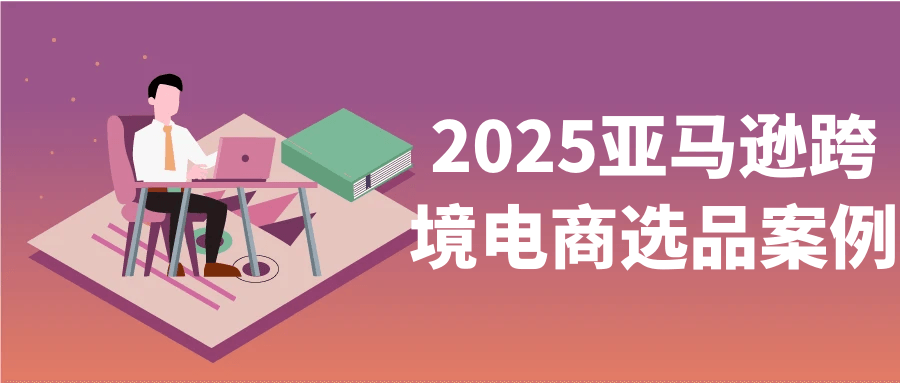 2025亚马逊跨境电商选品案例-空域资源网